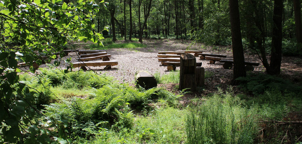 Natuurbegraafplaats zonder traditionele grafstenen, kunstbloemen of andere niet-biologische materialen